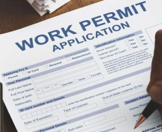 WORK PERMIT TYPES